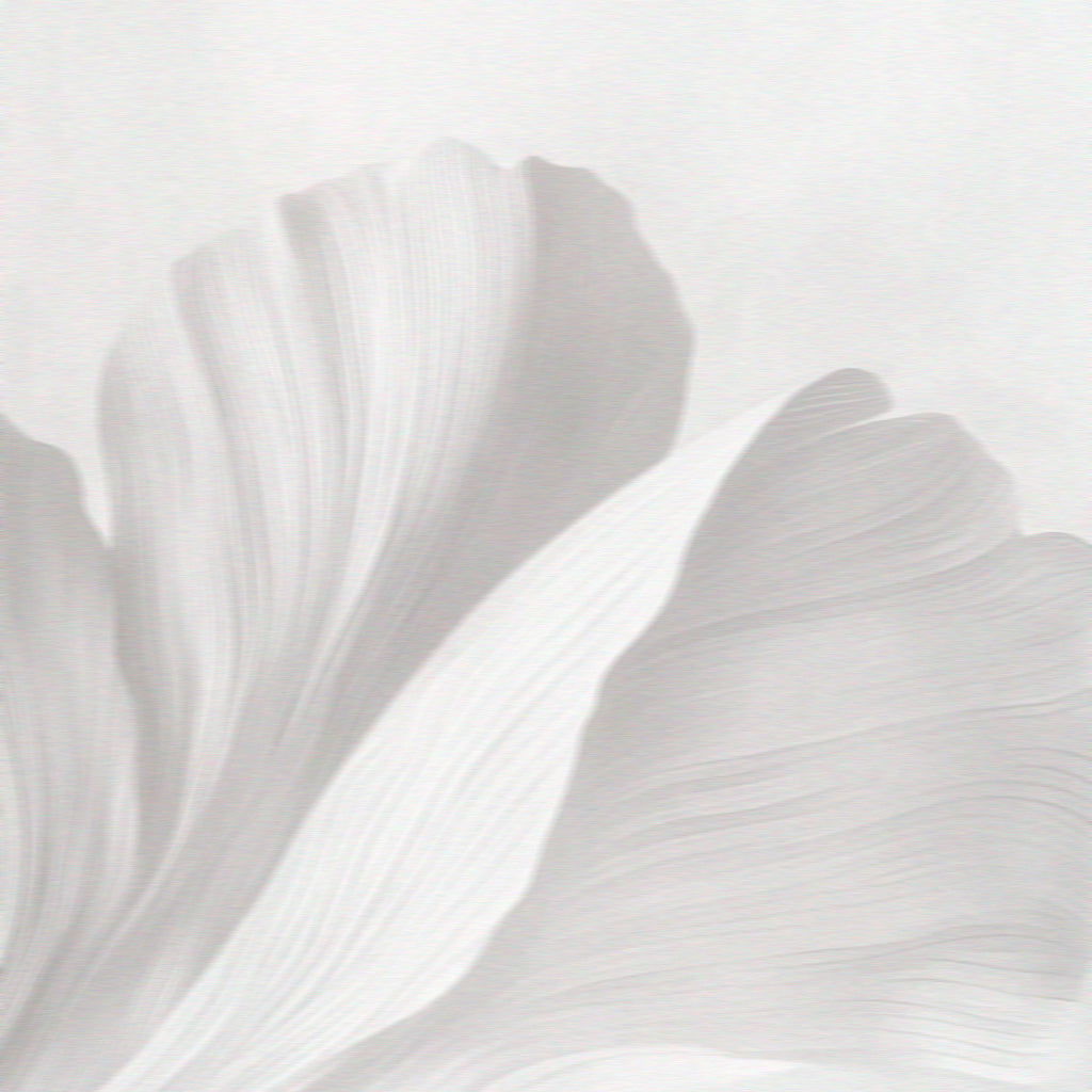 A Guided Gratitude Meditation (4mins) - Miss Feinful